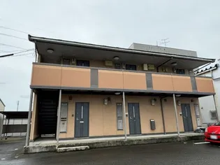 クローバーの画像