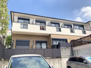 コウシンソウの画像