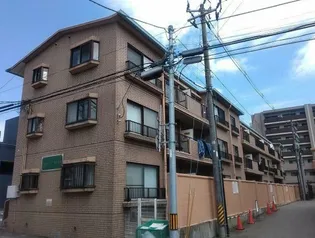 アカデメイアおたまやの画像