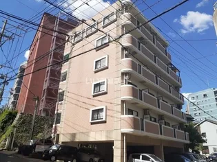 ブランドール大井手の画像