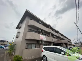 MSKコートの画像