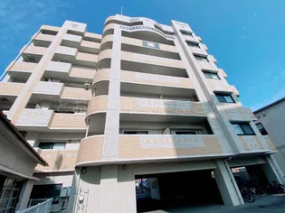 ソラーレ広島の画像