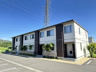 DUCCOIの画像