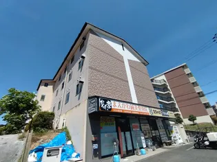 RACOON D1の画像