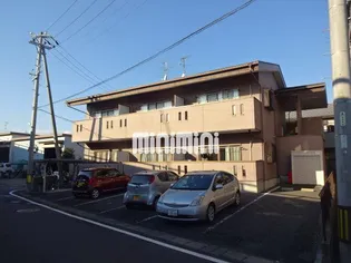 ミクラーシュGの画像