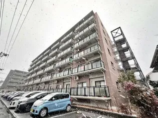 ZSTYLEの画像