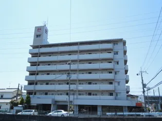 キャッスルコートイワキ【3階】の外観