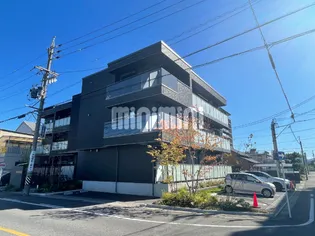 ベリッシモの画像