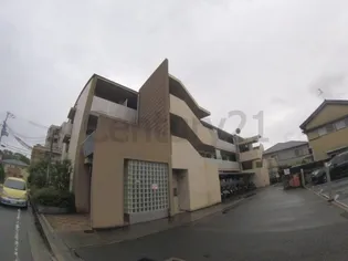 プロシードカイトの画像