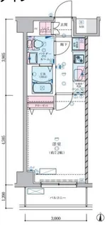 ジェノヴィア蒲田IIIスカイガーデン【3階】の間取り
