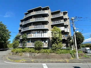 ツリーベルハイツ5番館【3階】の外観