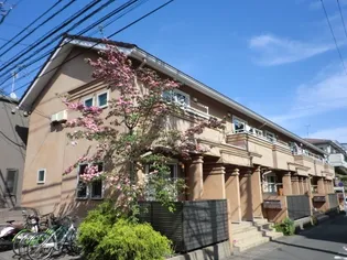 ルシーユの画像