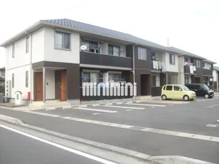 プルメリアCの画像