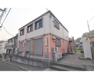 STELLA62の画像