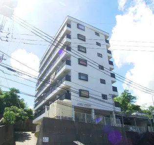 コージーコート【3階】の外観