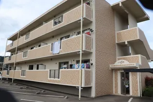 シンセアエムエーの画像