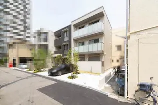 SHAMAISON TIGREの画像
