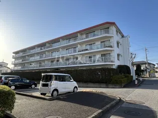 柏ハイム 1号棟の画像