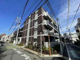 メイプル アンジュの画像