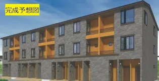 サンフラワーの画像