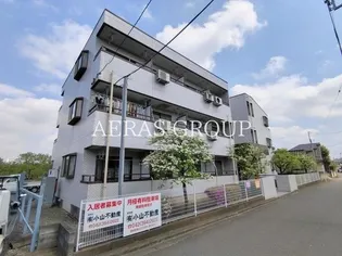 野崎ハイムの画像