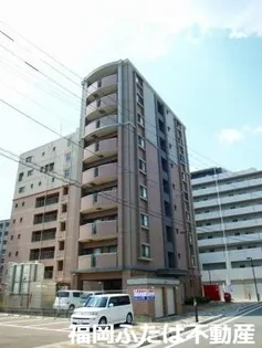 セラヴィの画像