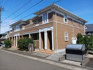 メロウ パーシモンの画像