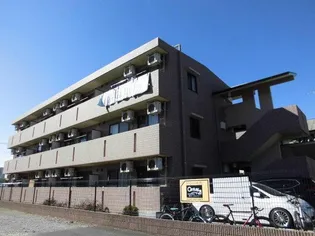 ライトコートの画像