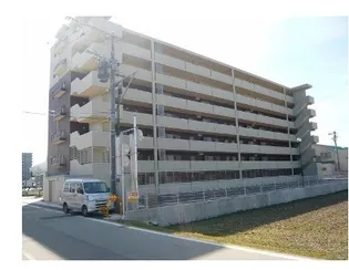 カラコレスⅤの画像