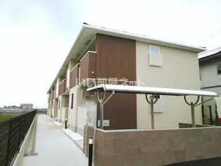 サンセットベルの画像