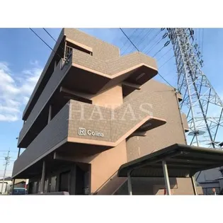 COLINAの画像