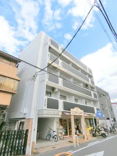 シティパレス8の画像