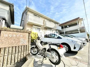 はなみずきの画像