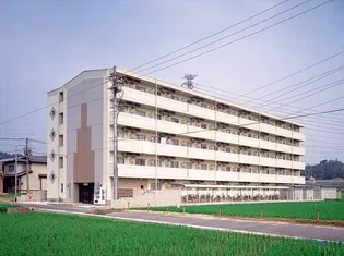 クリーンハイツ オンリーワン【5階】の外観