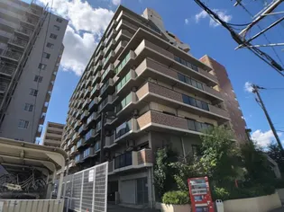 友井グレイスの画像