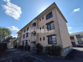 キャメルヴィラの画像