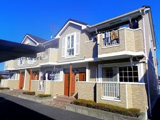 シャインピュアの画像