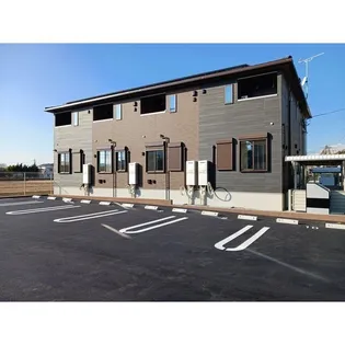 フォルトゥーナの画像