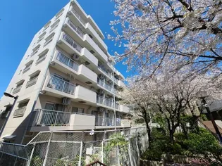 常盤台パークハイツの画像