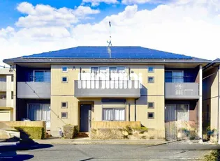 セルリアンコート Aの画像