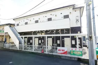 アスールの画像