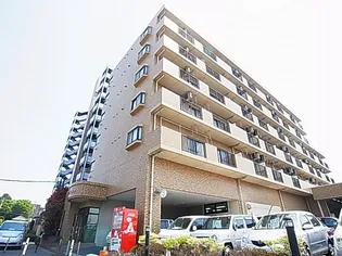 オアシスの画像