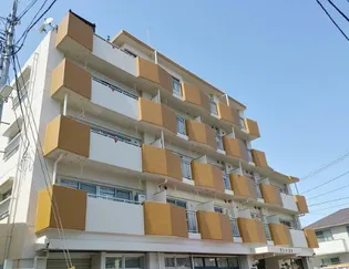 ドミール石川【1階】の外観