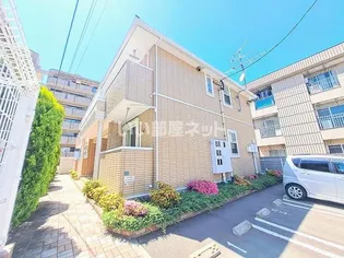 シャルマン 花みずきの画像