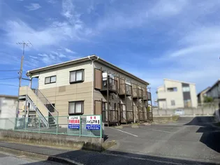 ハイムマキ Bの画像