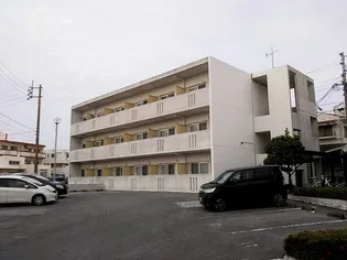 サンライズの画像