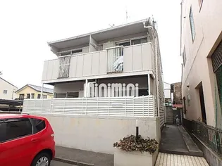 TOWNY SUZUKIの画像