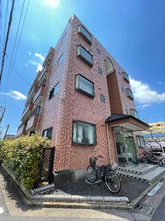 レイナード春江の画像