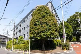 東京都新宿区南元町【マンション】の外観