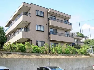 神奈川県川崎市麻生区細山8【マンション】の外観